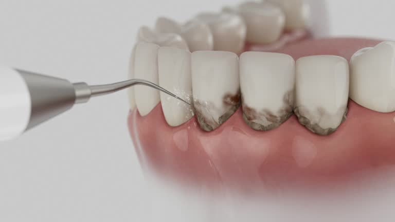 Reliable Dental contractor in Saline, MI by Dentist Open Now